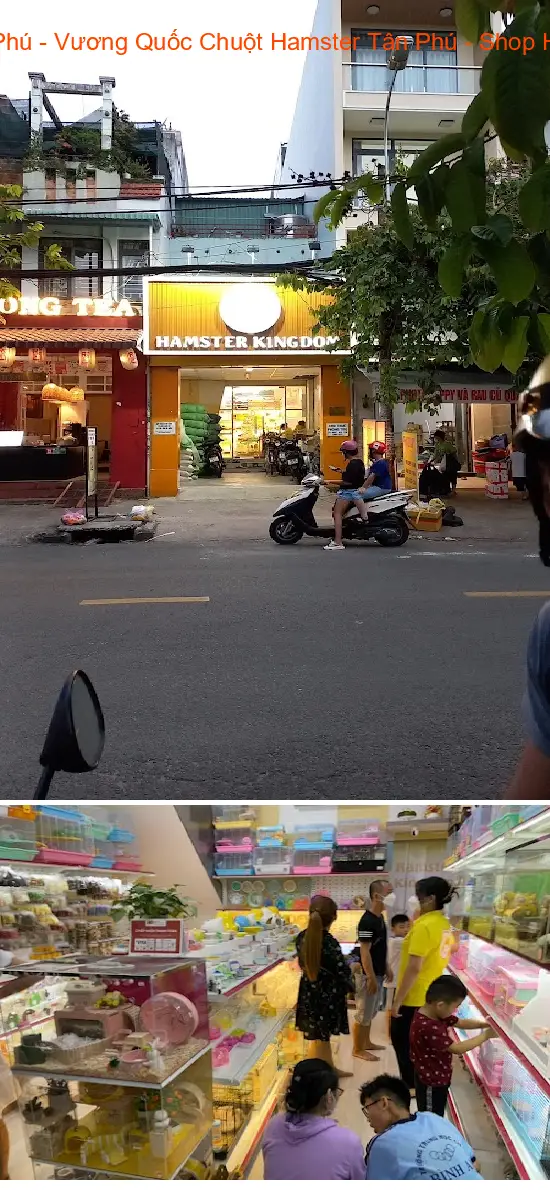Hamster Kingdom Tan Phu - Hamster Kingdom Tan Phu - Affordable Hamster Shop Tan Phu