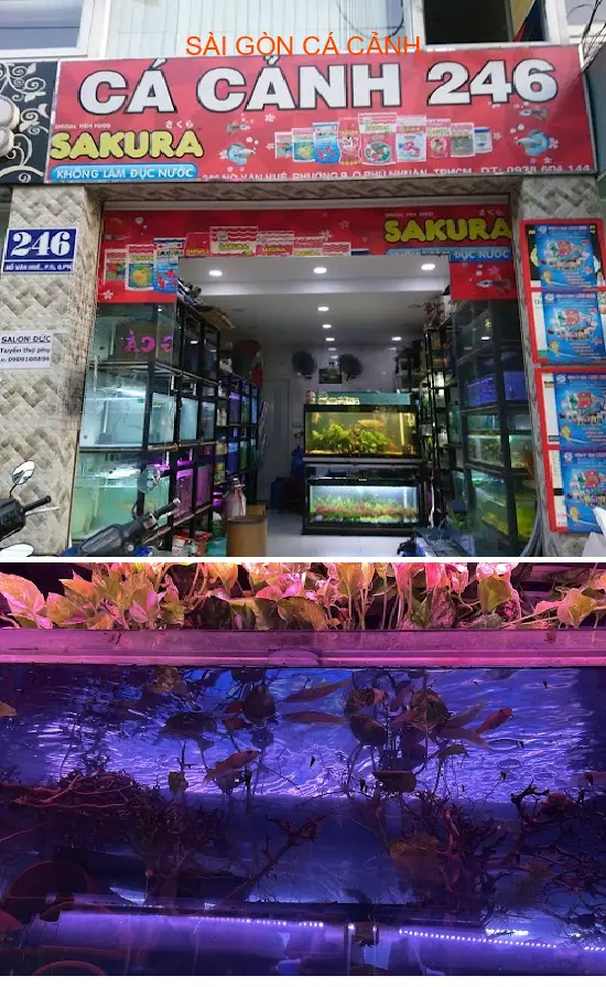 SAIGON AQUARIUM