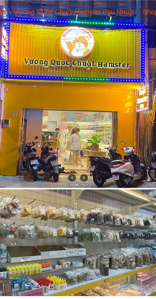 Hamster Kingdom Phu Nhuan - Hamster Kingdom Phu Nhuan - Affordable Hamster Shop in Phu Nhuan
