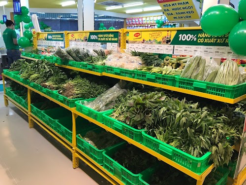 Bach Hoa XANH Supermarket