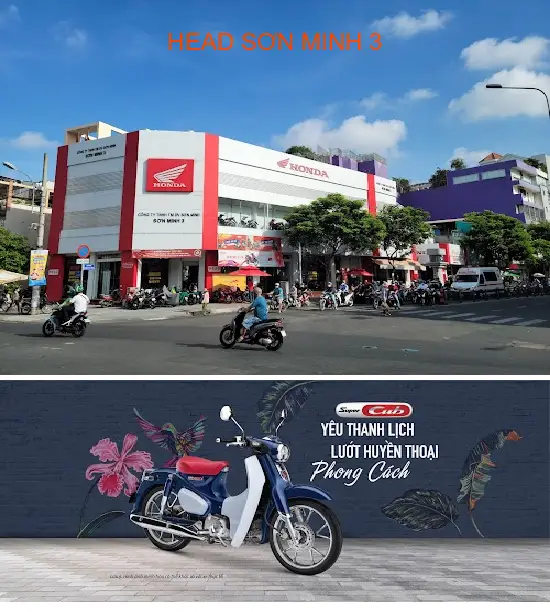 HEAD SON MINH 3