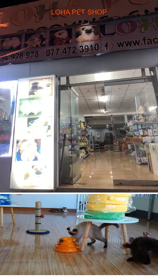 LOHA PET SHOP