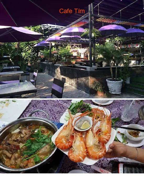Purple Cafe