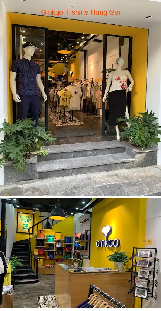 Ginkgo T-shirts Hang Gai