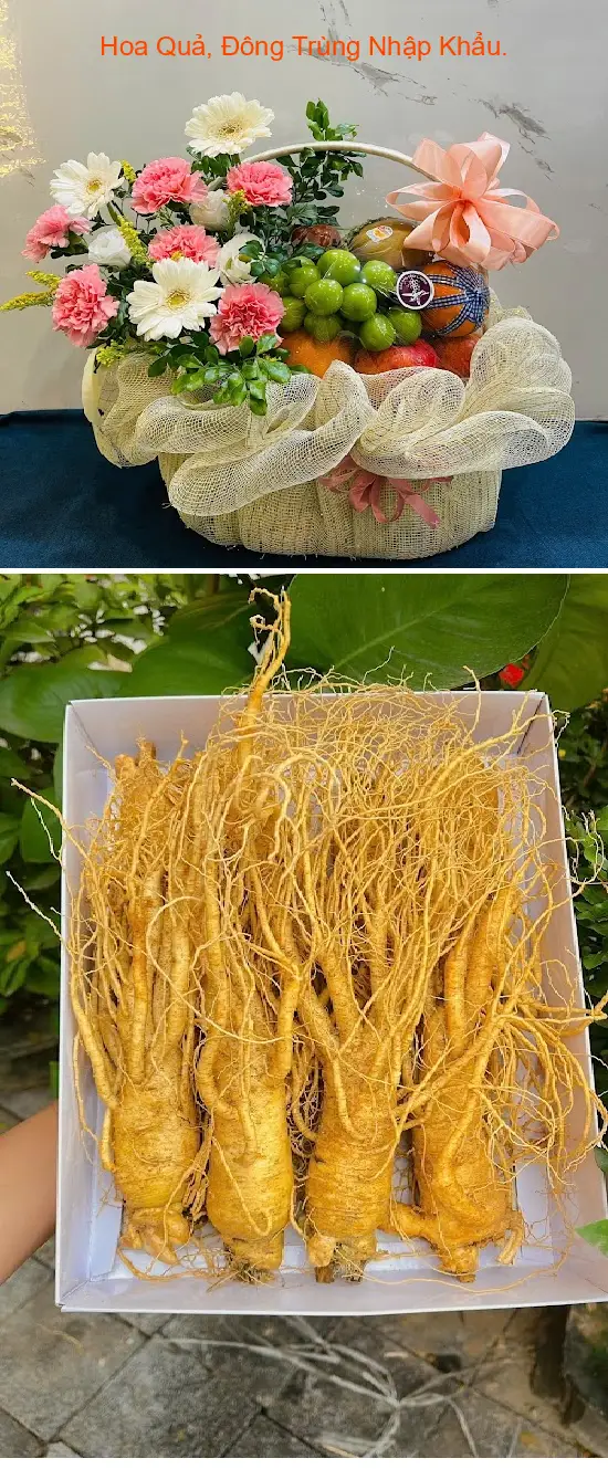 Imported Fruits and Cordyceps.