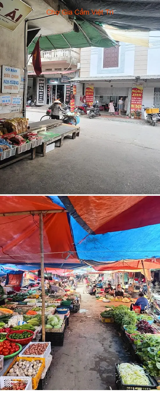 Gia Cam Market, Viet Tri