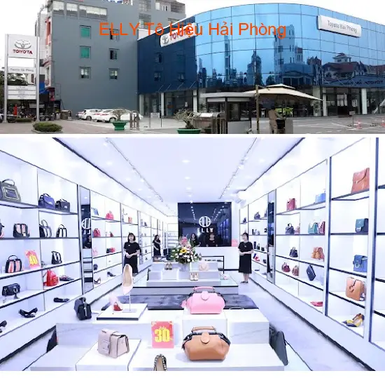 ELLY To Hieu, Hai Phong