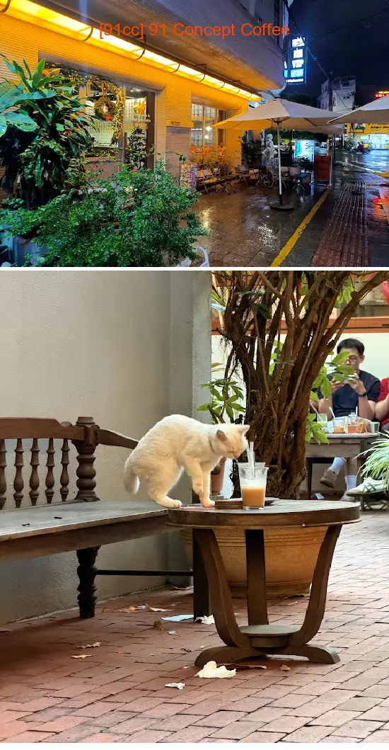 [91cc] 91 Concept Coffee