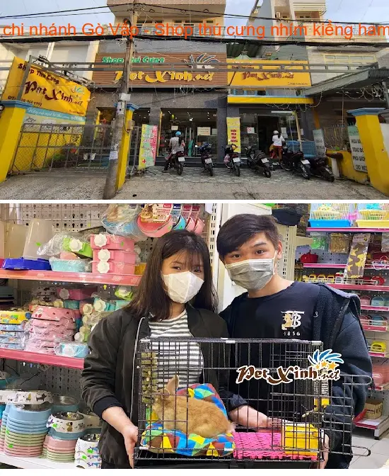 PetXinh.net Go Vap branch - Pet shop selling hedgehogs, hamsters, squirrels, and rabbits.